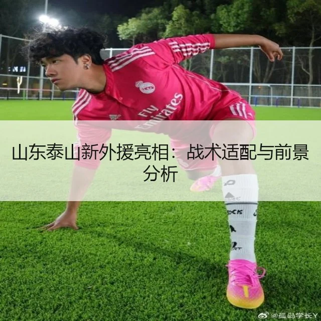 山东泰山新外援亮相：战术适配与前景分析